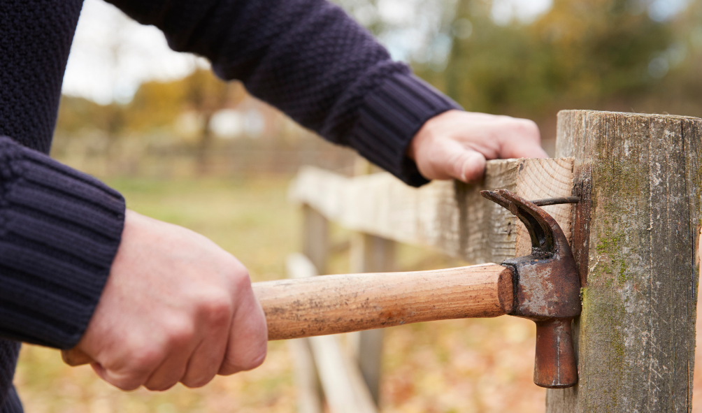 Fence Removal