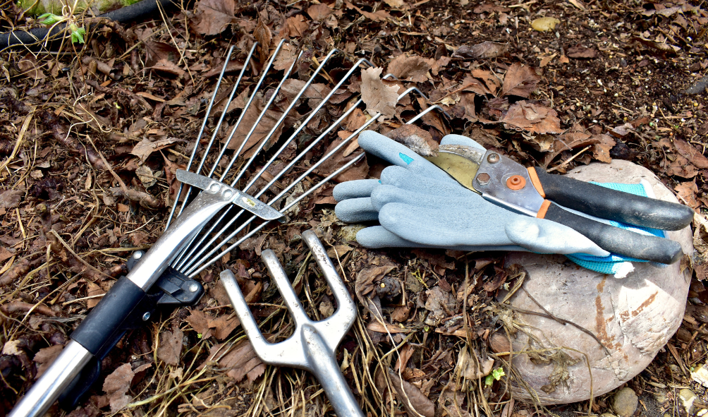 yard cleanup